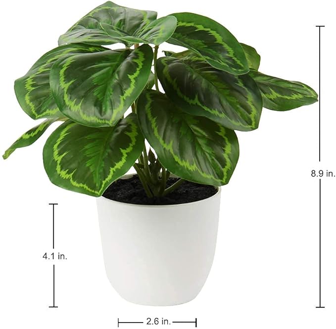 Briful 2 PCS Artificial Potted Alocasia Begonia Calathea Plants Mini Fake Plants in Plastic Pot Small Greenery Faux Plants Indoor for Home Office Desk Room Table Bathroom Bedroom Decorations