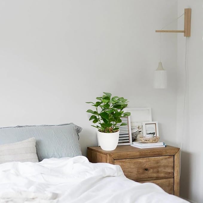 Briful Fake Plants Artificial Greenery Potted Faux Lifelike Plant for Farmhouse Home Garden Party Decoration