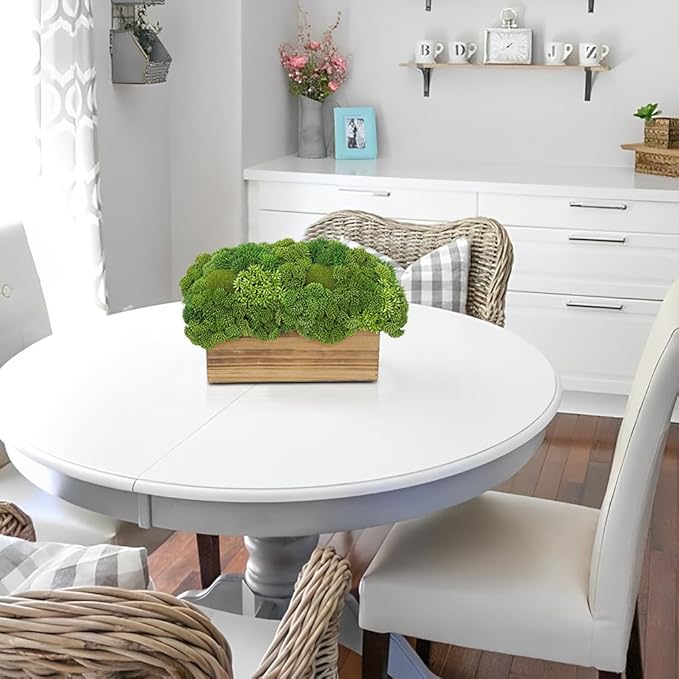 Briful Succulent Plants Artificial Fake Succulent Arrangement in Wooden Planter Pot Faux Plants Indoor for Home Office Dining Table Kitchen Shelf Decor