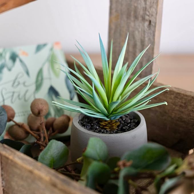 Kurrajong Farmhouse Artificial Plant | Fake Plant | Artificial Succulent in Pot | Fake Succulent | Faux Plant Indoor | Faux Greenery Desk Decor
