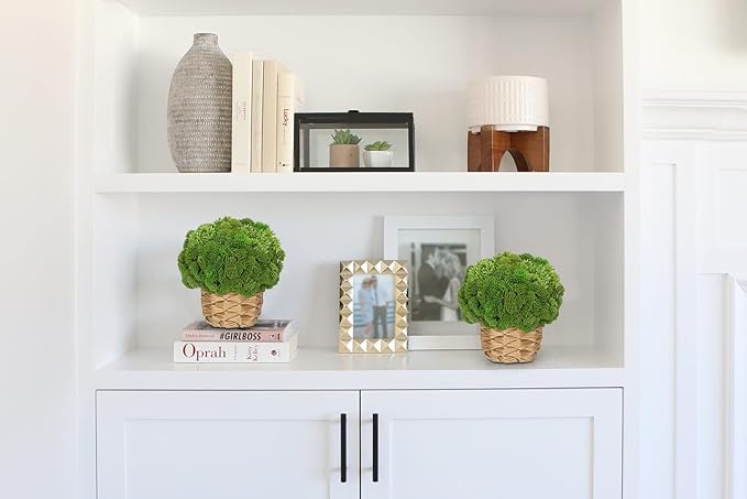 Briful Succulent Plants Artificial Small Faux Succulents Arrangement in Woven Basket Fake Silk Plants Indoor for Home Office Table Centerpiece Shelf Bathroom Decor