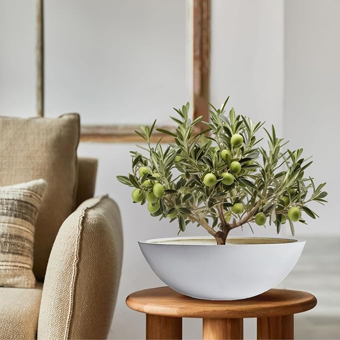 7.7" H x 22" D Round Bowl Fiberstone Planter for Succulent and Lotus, Drainage Hole, Weather Resistant for Indoor and Outdoor Use, Included 2 Extra Coco Mats (White, 19.9" Pot Opening)