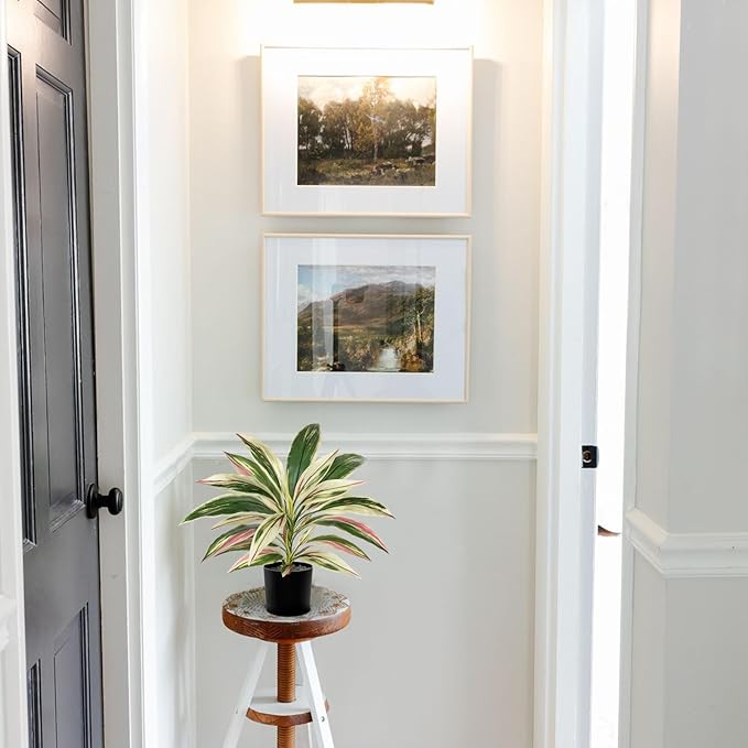 Artificial Plants Indoor with Pot, 18" Fake Potted Plants Medium Artificial Dracaena Plant in Black Pot Faux Tropical Plants for Bathroom Living Room Office Desk Shelf Decor