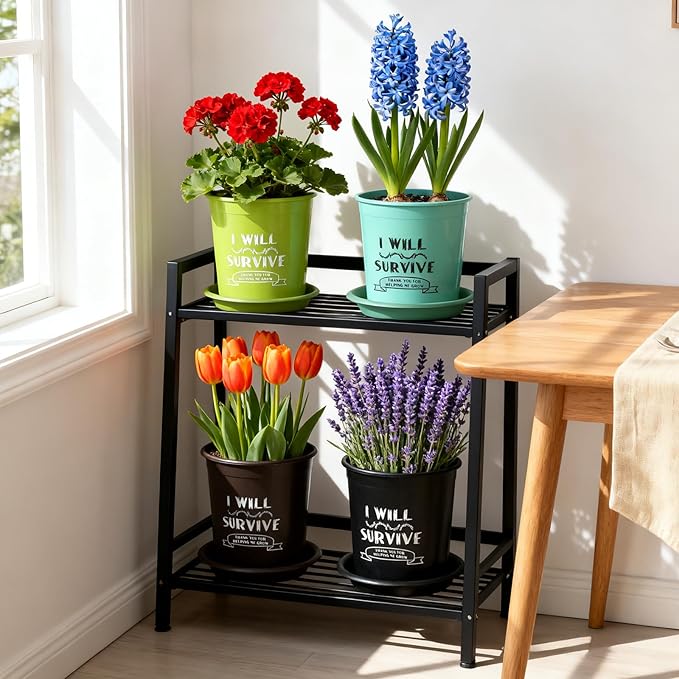 NIKONIKO 8 Pack 6.5 Inch Plant Pots, 4 Colors Pots for Plants, Flower Pots with Drainage Holes and Bottom Support, for Indoor & Outdoor Garden Home Plants