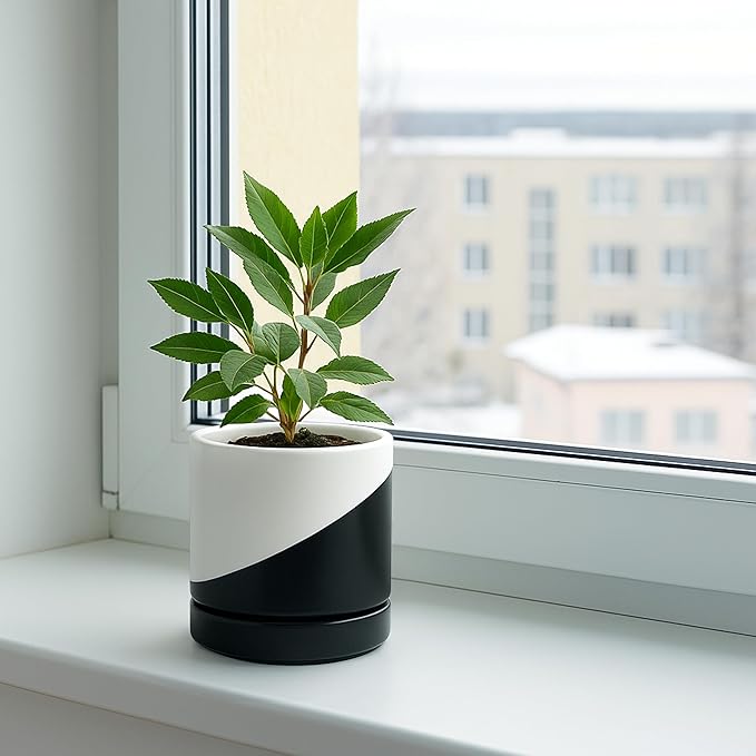 D'vine Dev 4.7 Inch Ceramic Planter Pot with Drainage Hole and Saucer, Indoor Cylinder Round Planter Pot, Oblique Monochrome Black and White, 94-O-B-K