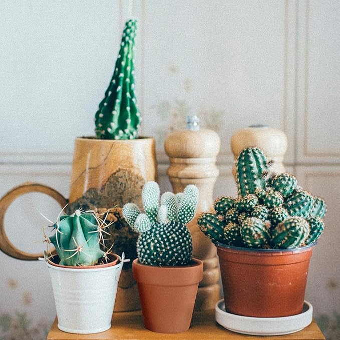 3 Inch Terracotta Pots - 22Pack Clay Flower Pots with Drainage Hole, Succulent Nursery Pot/Cactus Plant Pot. Great for Plants, Crafts, Wedding Favorn, DIY Production