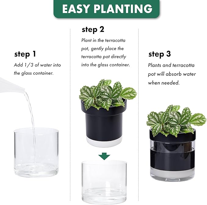 Phoenix Vine 6 Inch 4 Inch Self Watering Terracotta Planter, Black Terracotta Clay Pot with Glass Reservoir for Indoor Plants, Herbs, Flowers, 52-C-G-46