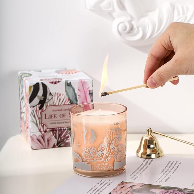 ROMIIE ZOI Scented Candle - Life of Sea- 6oz Aromatherapy Soy Wax Jar Candle for Home, Gifts for Women - 170g