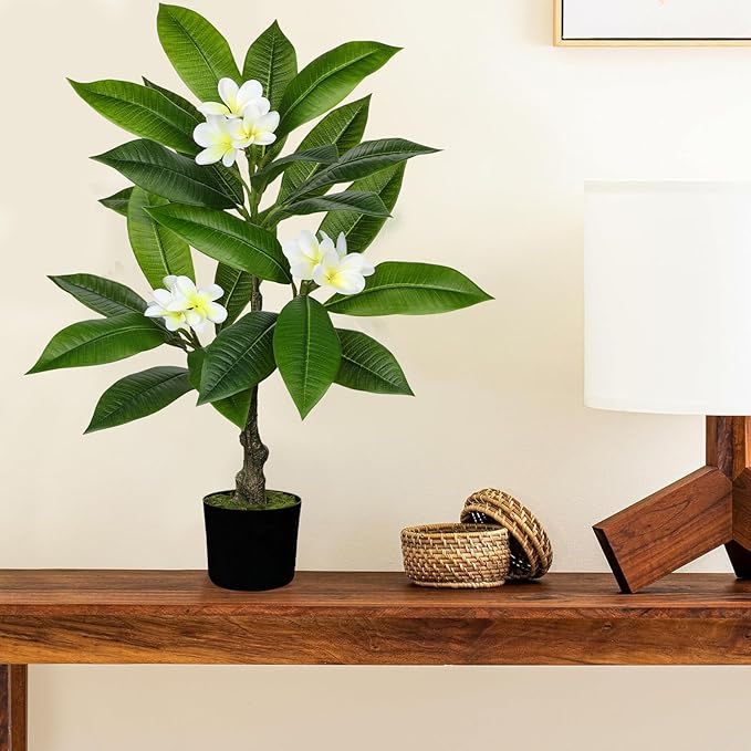 Briful Artificial Plants Indoor 26.77'' Fake Tropical Plumeria Flowers Tree Plants in Black Pot Hawaiian White Plumeria Rubra Faux Frangipani Tree Floor Plant for Home Office Wedding Decor