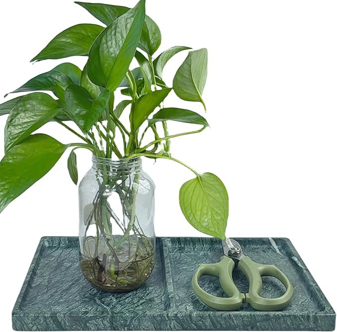 11.81"x7.87" Marble Decorative Tray with 2 Compartments – Catchall Organizer for Jewelry, Soap, Cosmetics – Polished Green Stone Vanity Tray for Bathroom, Dresser, Entryway, Office Decor