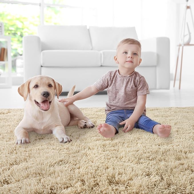 5x7 Area Rugs for Living Room, Fluffy Shaggy Rug Soft Carpets, Rugs for Bedroom Nursery Kids Room Dorm Home Decor Aesthetic, Light Tan