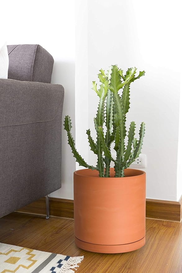 D'vine Dev Large 10 Inch Terracotta Plant Pot with Drainage Hole and Saucer, Round Cylinder Planter Pot for Indoor Plants, Set of 2, 40-X-B-5