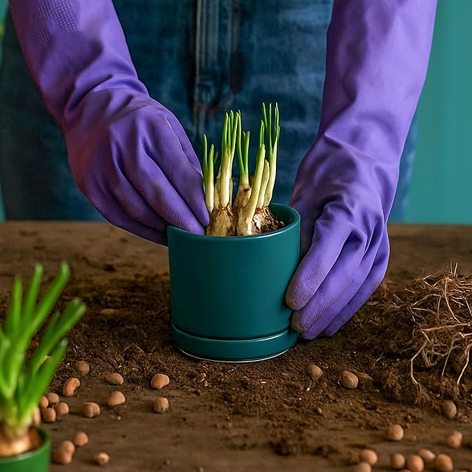 D'vine Dev Set of 4 Small Ceramic Plant Pots, 3.5 Inch Succulent Planter Pot for Plants with Drainage Hole and Saucer, Teal, 94-X-A-9