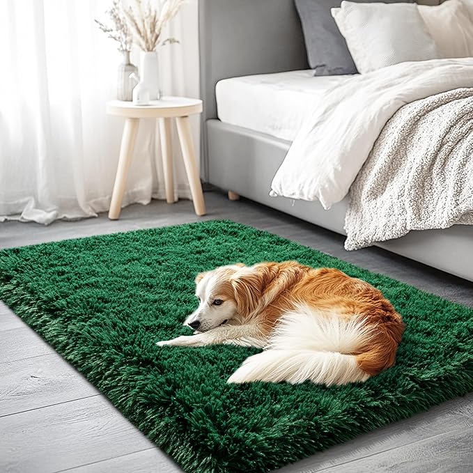 Green Area Rug for Bedroom, 2x3 Small Rugs for Living Room Nursery Kids Room Dorm Home Decor Aesthetic, Fluffy Shaggy Rug with 4 Anti-Slip Carpet Tapes, Dark Green