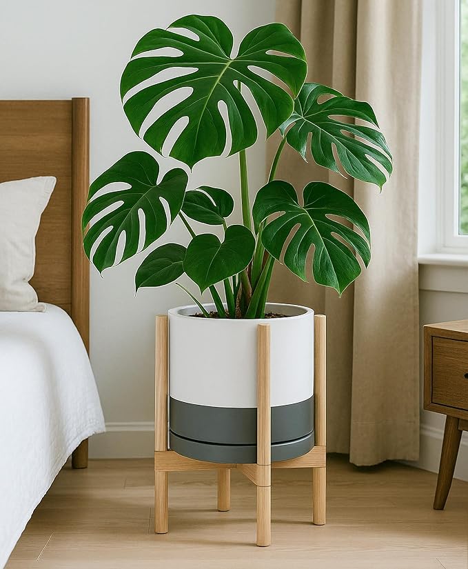 D'vine Dev Ceramic Planter with Natural Stand - 12 Inch Modern Round Flower Pot with Wood Planter Holder, White/Grey, 55-B-J-6