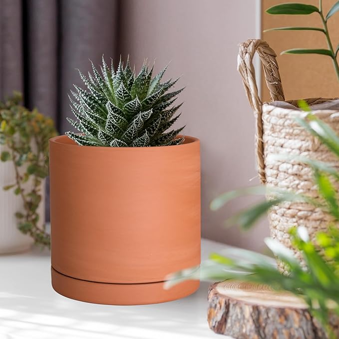 D'vine Dev X-Small 4 Inch Terracotta Plant Pot with Drainage Hole and Saucer, Round Cylinder Planter Pot for Indoor Plants, Set of 2, 40-X-B-1
