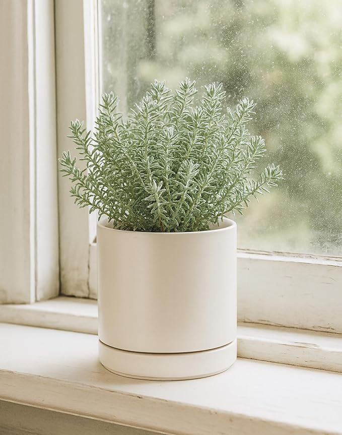 D'vine Dev 6.5 Inch Ceramic Planter Pot with Drainage Hole and Saucer, Indoor Cylinder Round Planter Pot, Oatmeal, 94-O-C-8