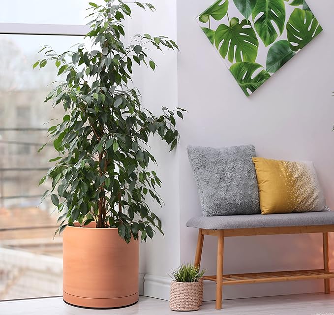 D'vine Dev Terracotta Pots for Plants, 8.3 Inch 10 Inch 12 Inch, Round Cylinder Planter Pot with Drainage and Saucer, 40-T-D-0