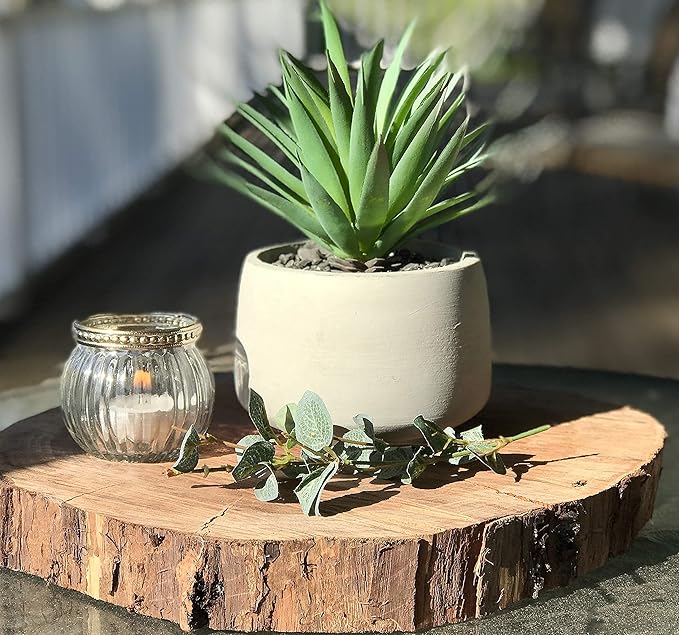 Kurrajong Farmhouse Artificial Plant Indoor | 7" high Fake Plant | Artificial Succulent in Pot | Fake Succulent | Faux Plant in Pot for Desk Decor