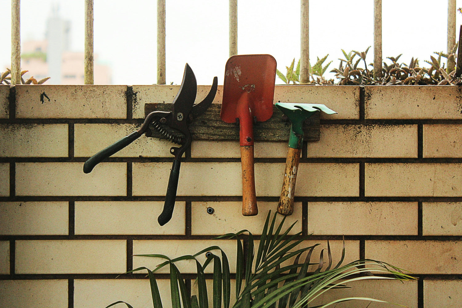 Garden Accessories