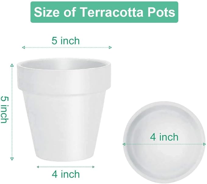 vensovo 5 Inch White Clay Pot for Plant with Saucer - 6 Pack Terra Cotta Plant Pot with Drainage Hole, Flower Pot with Tray, Terracotta Pot for Indoor Outdoor Plant