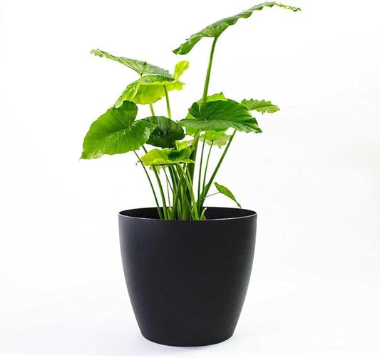 American Essence Memphis Small Round Plastic Planter - 13 in x 13 in x 11.6 in - Black