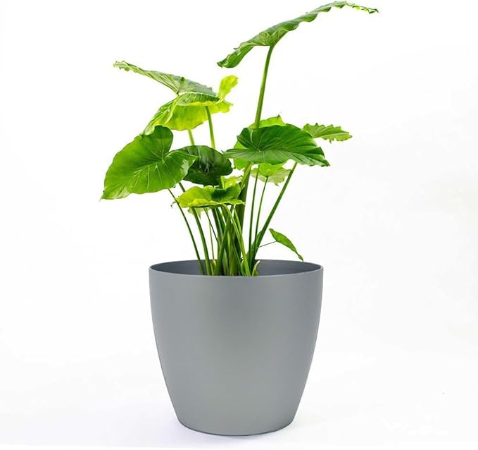 American Essence Memphis Small Round Plastic Planter - 13 in x 13 in x 11.6 in - Silver Metallic