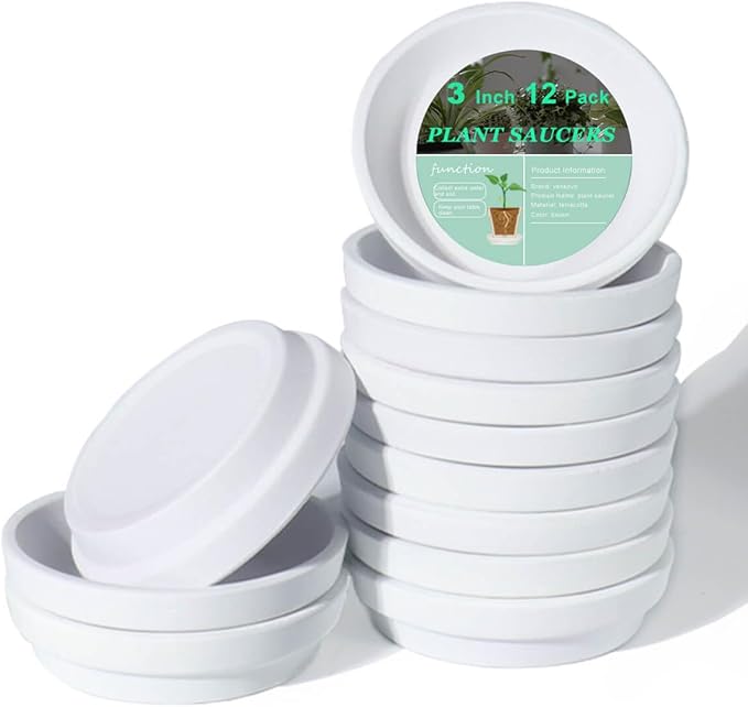 vensovo 3 Inch White Terracotta Plant Saucer Pots Tray - 12 pcs Mini Planter Saucers for Indoor & Outdoor Plants, Small Clay Trays Perfect for 2 Inch 2.5Inch Flower Pot