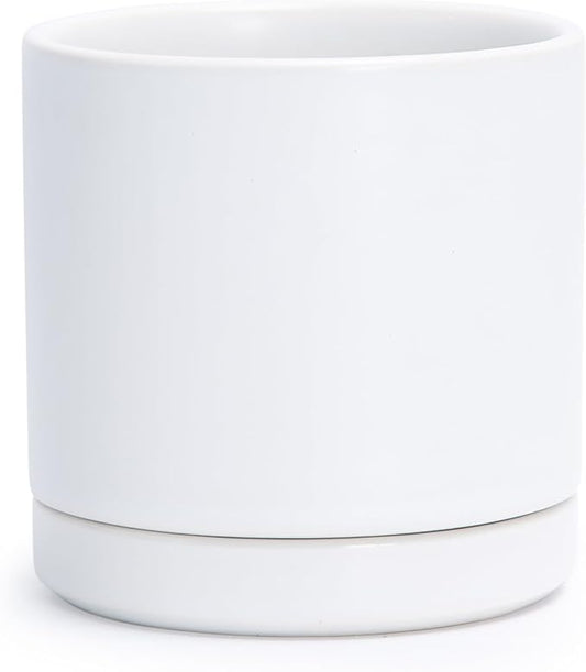 D'vine Dev 3.5 Inch Ceramic Planter Pot with Drainage Hole and Saucer, Indoor Cylinder Round Planter Pot, White, 94-O-A-1