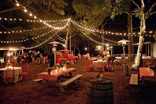 Hometown Evolution, Inc. 100 Foot G40 Globe Patio String Lights with 1.6 Inch Clear Bulbs for Outdoor String Lighting (Green Wire)