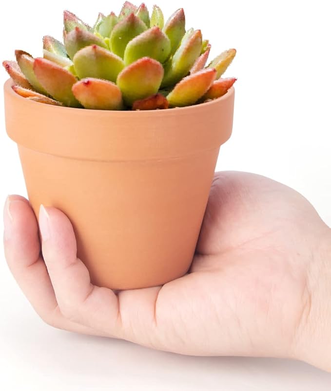 CFKJ 26 Pack 4" Terracotta Planter Pots, Clay Succulent Pots, Indoor, Brown, Solid, Classic Style, Drainage Hole, Tabletop, Plant Theme