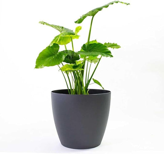 American Essence Memphis Small Round Plastic Planter - 15 in x 15 in x 13.5 in - Charcoal Metallic