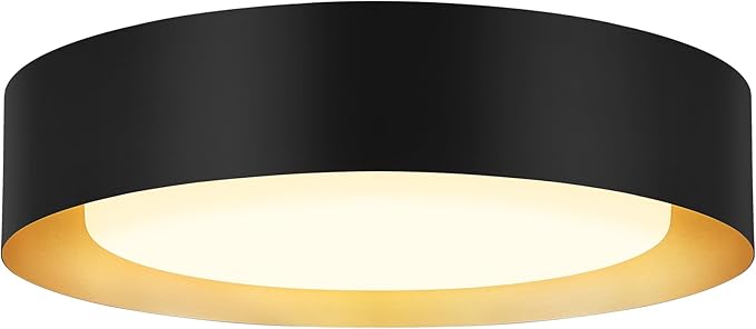 Modern Flush Mount Ceiling Lights,Minimalist 16.5IN Round Close to Ceiling Light Fixtures,Black and Gold Metal Ceiling Lighting Lamp for Living Room,Dining Room,Bedroom,Kitchen