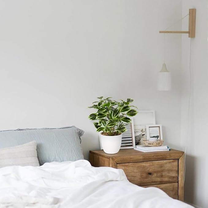 Briful 2PCS Fake Plants Artificial Greenery Potted Faux Lifelike Plant for Farmhouse Home Garden Party Decoration