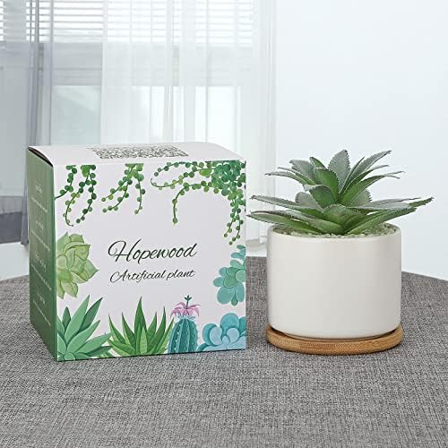 Hopewood Succulent Plants Artificial - Faux Agave Succulent Plant in Ceramic Pots with Bamboo Tray for Office Desk Living Room Decor(5.9inch)