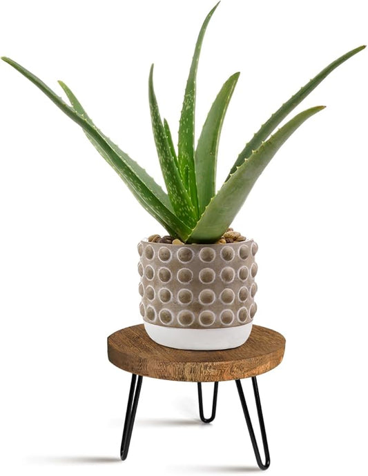 Plant Stand Indoor Outdoor, Wooden plant Stool, Mid Century Plant Stand for Indoor Plants, Wood Modern Plant Holder Rattan Flower, Low Short Boho Rustic Planter Stand Fit 5-15 Inch Pot(M)