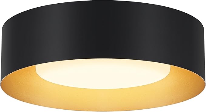 Modern Flush Mount Ceiling Lights,Minimalist 12.5IN Round Close to Ceiling Light Fixture,Black and Gold Metal Ceiling Lighting Lamp for Entryway,Hallway,Kitchen,Bedroom