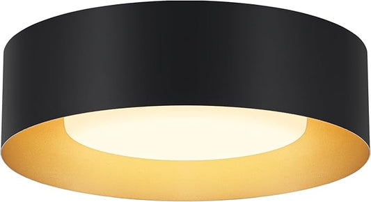 Modern Flush Mount Ceiling Lights,Minimalist 12.5IN Round Close to Ceiling Light Fixture,Black and Gold Metal Ceiling Lighting Lamp for Entryway,Hallway,Kitchen,Bedroom