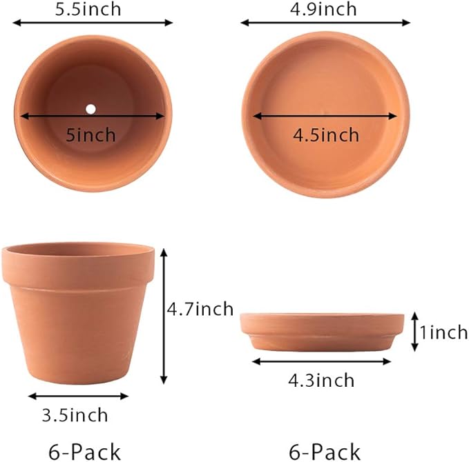 Terra Cotta Pots with Saucer- 6-Pack Large Clay Pots 5.5'' Ceramic Pottery Planter Cactus Flower Succulent Pot with Drainage Hole- Great for Plants,Crafts terra cotta planter