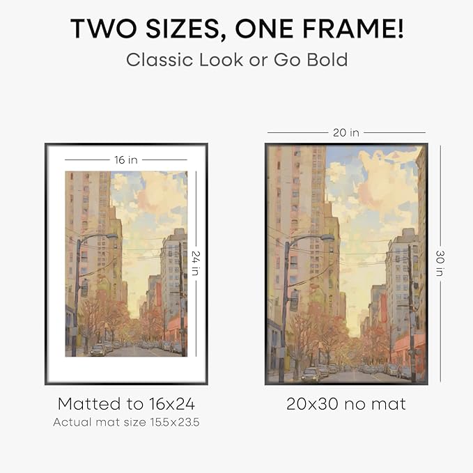 Homeforia 20x30 Poster Frame Black, High End Metal 20 x 30 Picture Frames with Mat 16 by 24 inch Photo, 30x20 Large Frame for Wall, 20x30 Thin Frame Matted to 16x24, Tempered Glass, Wall Kit, Set of 2