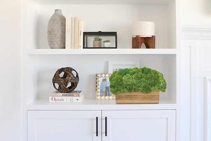 Briful Succulent Plants Artificial Fake Succulent Arrangement in Wooden Planter Pot Faux Plants Indoor for Home Office Dining Table Kitchen Shelf Decor