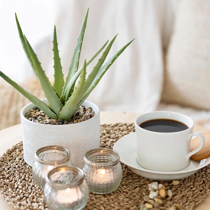 Artificial plant in white ceramic pot | 10" high sage green faux agave plant in white pot | fake plant for desk decor | Artificial agave for home decor indoor | Artificial succulent for shelf decor