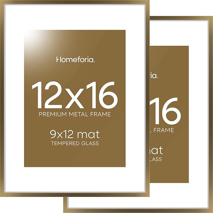 Homeforia 12x16 Picture Frame Bronze, High End Metal 12x16 Brass Poster Frames with Mat 9x12 Photo, 12 x 16 Bronze Frame Matted to 9 by 12 Print, 16by12 Thin Frames, Tempered Glass, Wall Kit, Set of 2