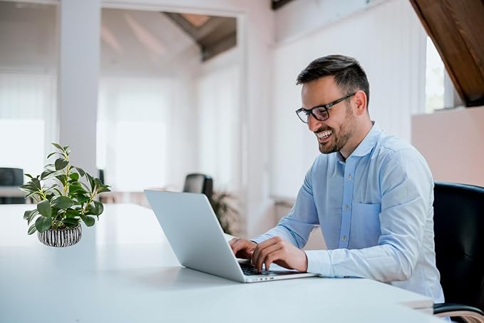 AlphaAcc Artificial Plants Decor Greenery Fake Succulents Indoor Potted Fake Plant with Rustic Black Clay Planter for Farmhouse Room Bathroom Bedroom Kitchen Office Table Desk Decor