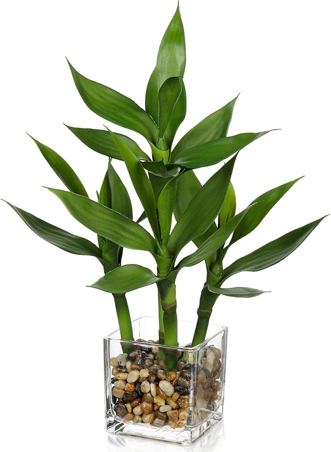 Artificial Lucky Bamboo Plant 17.3 Fake Plant in Rectangular Glass Pot for Centerpiece Table Decorations Farmhouse Wedding Home Greenery Decor