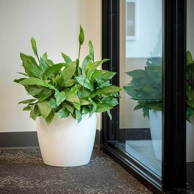 American Essence Memphis Small Round Plastic Planter - 18 in x 18 in x 16 in - Espresso Metallic