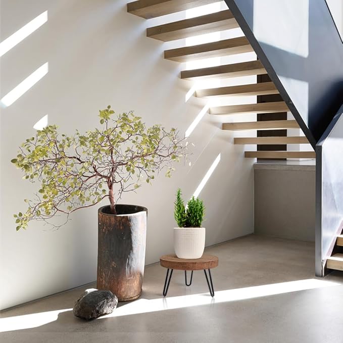 Plant Stand Indoor Outdoor, Wooden plant Stool, Mid Century Plant Stand for Indoor Plants, Wood Modern Plant Holder Rattan Flower, Low Short Boho Rustic Planter Stand Fit 5-15 Inch Pot(M)