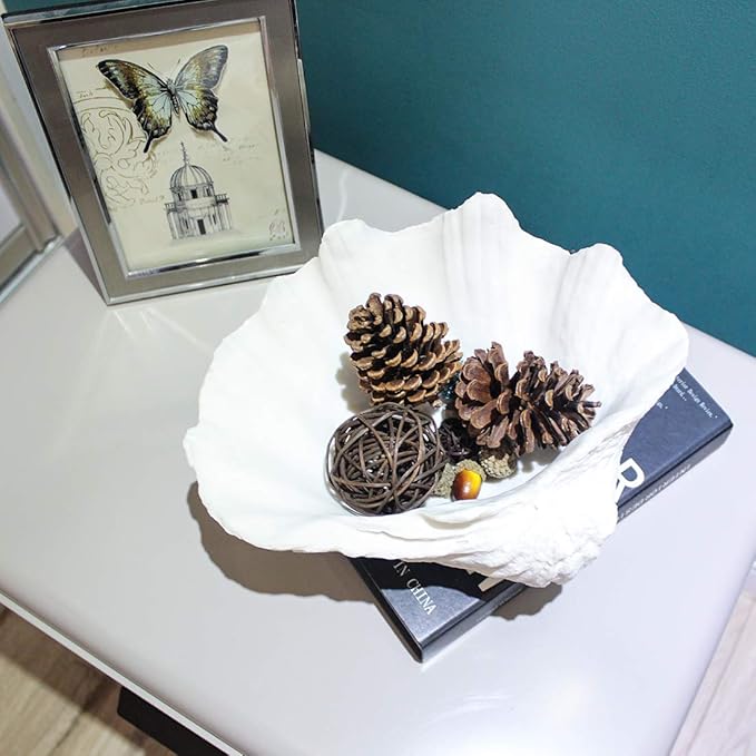 Medium White Scalloped Clam Shell Bowl Sea Shell Decor for Nautical Beach House,Coastal Decor Gift of Housewarming and Wedding Party