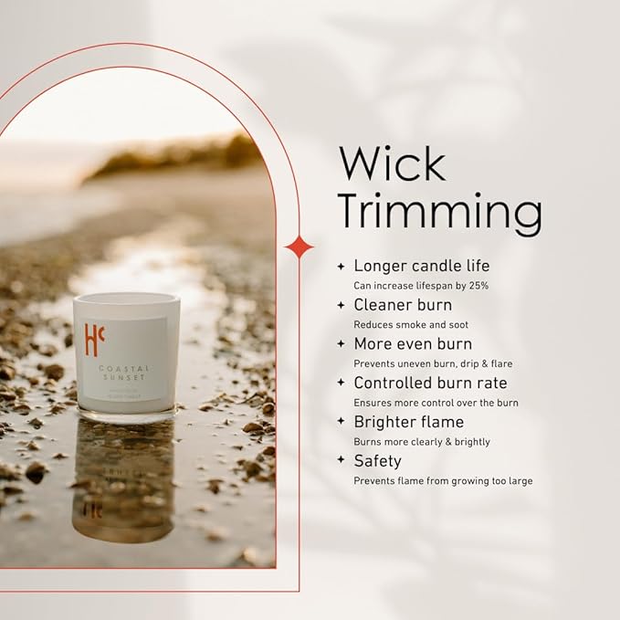 Coastal Sunset Single Wick Soy Candles, Luxury Scented Candles for Home - Up to 60 Hour Burn Time, Cruelty-Free Soy Wax Blend - Bergamot Fragrance, Notes of Pomelo & Orange (9 oz)