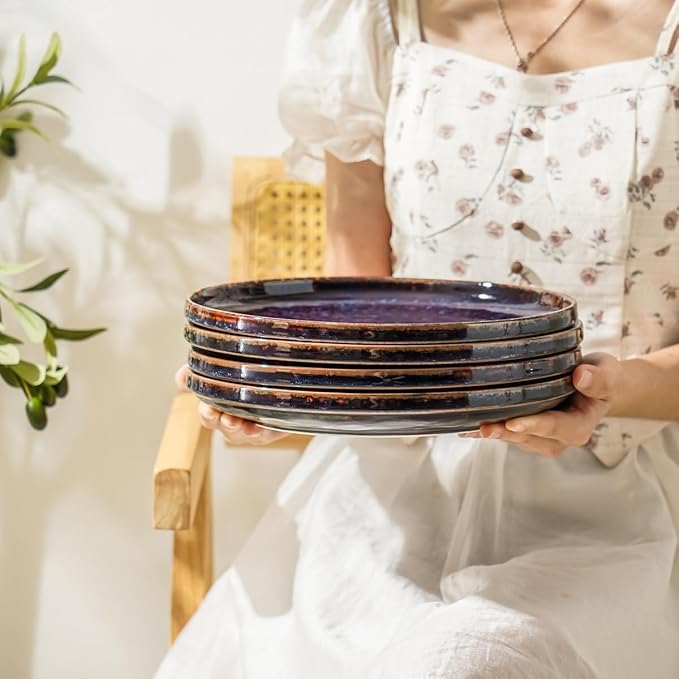 Ceramic dinner plates set of 4, Large Dinnerware Plates & Salad plates for party and wedding, Microwave safe porcelain plates set, 10 Inch